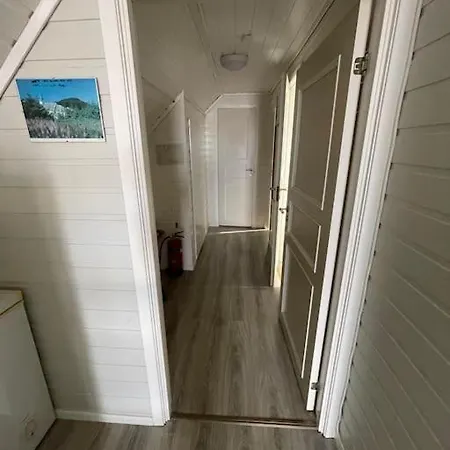 Apartment Loft